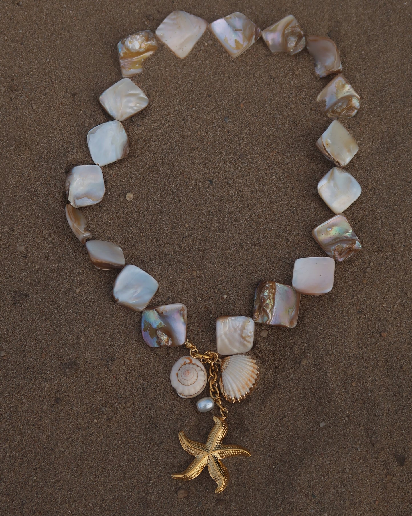 Statement ketting met goudkleurige schelpen en afneembare hangers, waaronder een zeester en schelpen